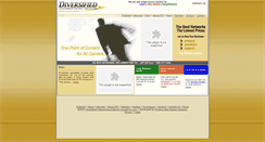 Desktop Screenshot of diversifiedconsulting.net